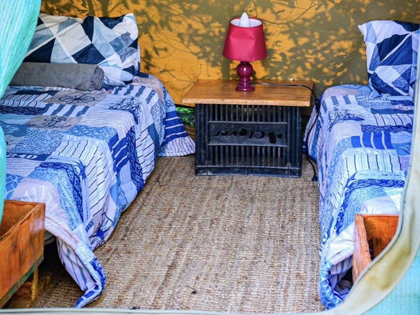 فندق Shik Shack Backpackers Guernsey Nature Reserve المظهر الخارجي الصورة