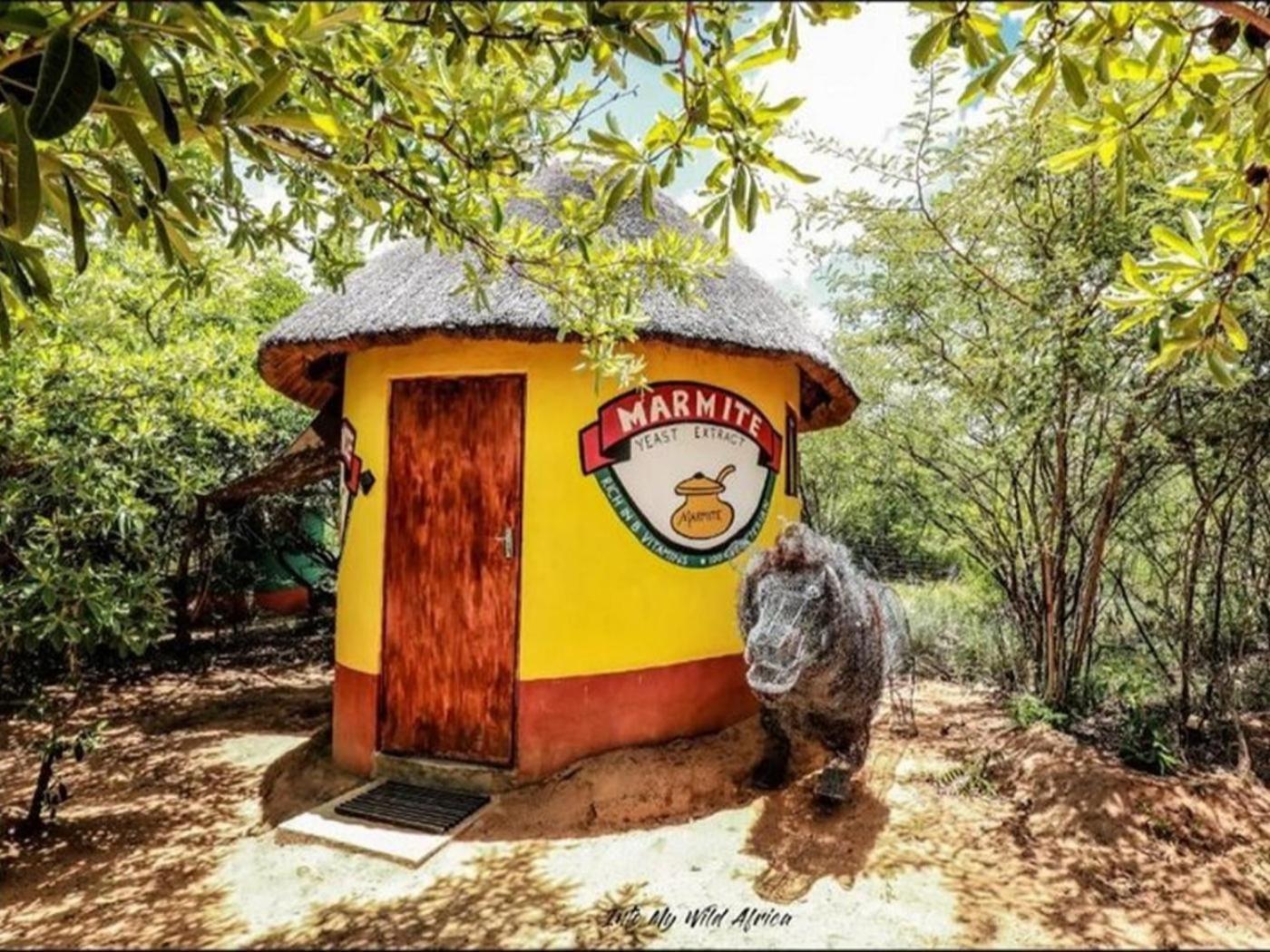 فندق Shik Shack Backpackers Guernsey Nature Reserve المظهر الخارجي الصورة
