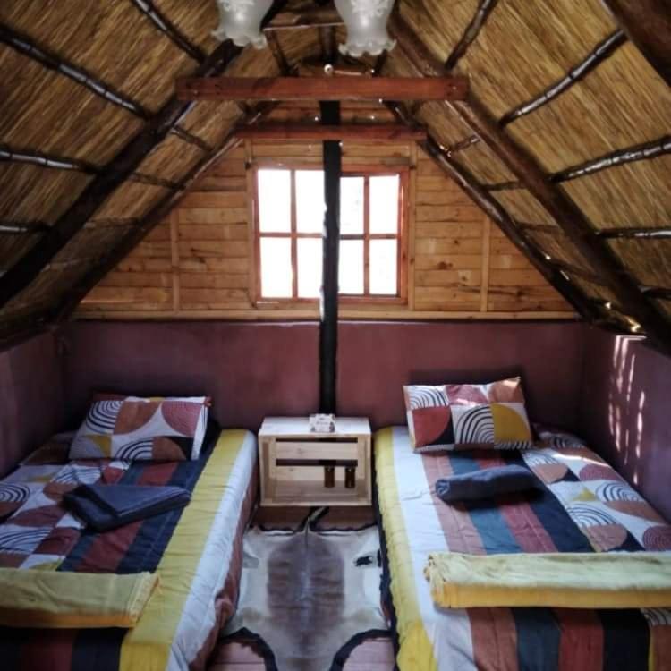 فندق Shik Shack Backpackers Guernsey Nature Reserve المظهر الخارجي الصورة